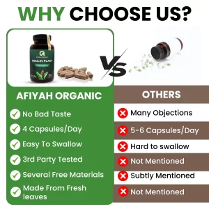 Premium Quality Costus Igneus (Insulin Plant) Capsules - Easy to Swallow 120 Veggie Capsules (1 Month Supply)