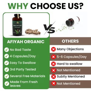 Premium Quality Costus Igneus (Insulin Plant) Capsules - Easy to Swallow 240 Veggie Capsules (2 Month Supply)