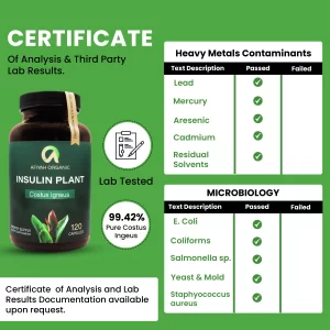 Premium Quality Costus Igneus (Insulin Plant) Capsules - Easy to Swallow 120 Veggie Capsules (1 Month Supply)