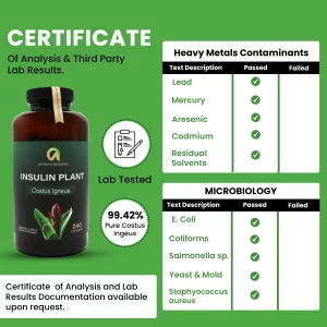 Premium Quality Costus Igneus (Insulin Plant) Capsules - Easy to Swallow 240 Veggie Capsules (2 Month Supply)