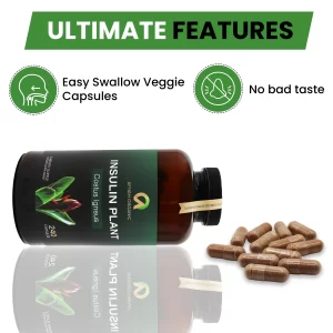 Premium Quality Costus Igneus (Insulin Plant) Capsules - Easy to Swallow 240 Veggie Capsules (2 Month Supply)