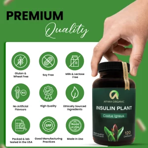 Premium Quality Costus Igneus (Insulin Plant) Capsules - Easy to Swallow 120 Veggie Capsules (1 Month Supply)