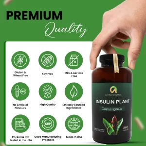 Premium Quality Costus Igneus (Insulin Plant) Capsules - Easy to Swallow 240 Veggie Capsules (2 Month Supply)